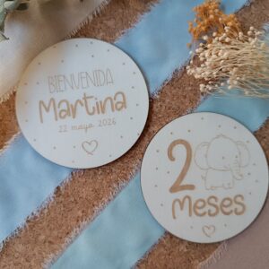 Placas Cumplemes Animal Baby