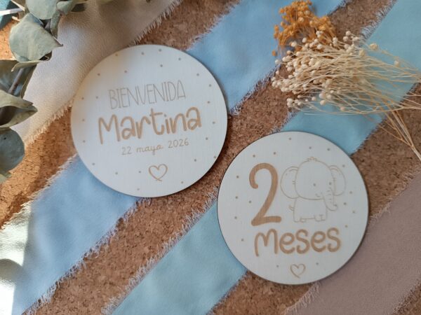 Placas Cumplemes Animal Baby